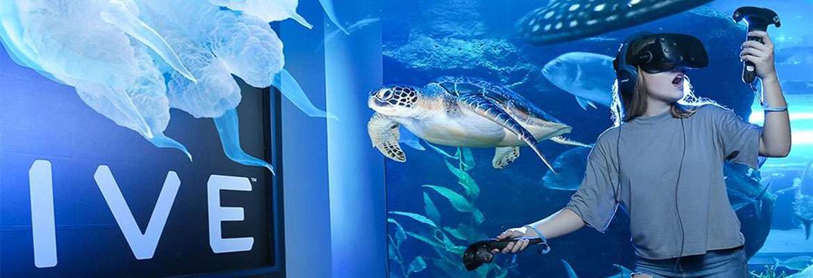 Dubai Mall Aquarium & Underwater Zoo (Regular)