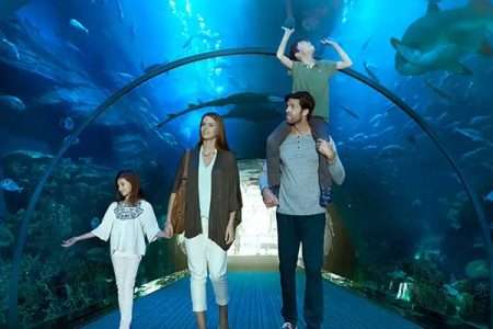 Burj Khalifa At the Top 124 + Dubai Mall Aquarium & Underwater Zoo (Non Prime)