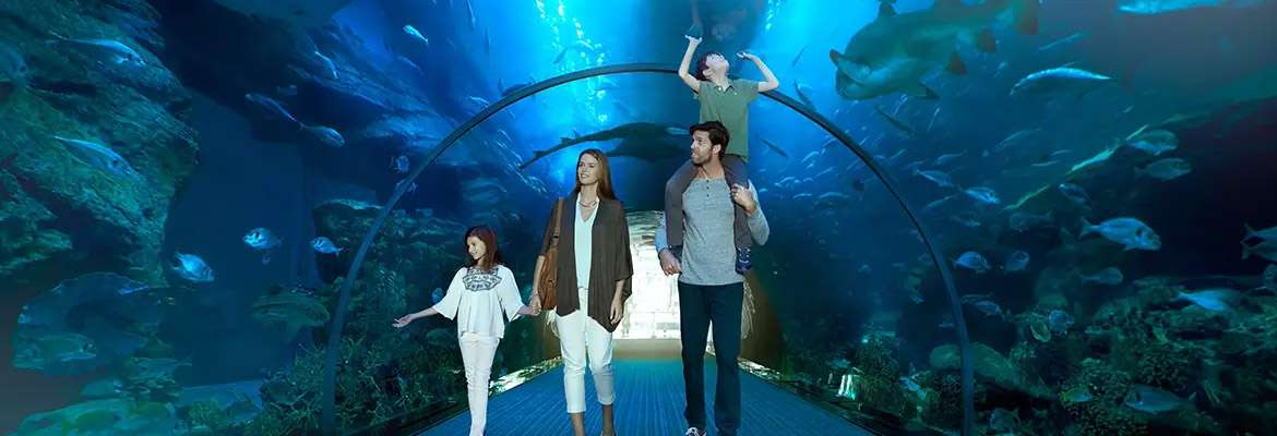 Dubai Mall Aquarium & Underwater Zoo (Regular)