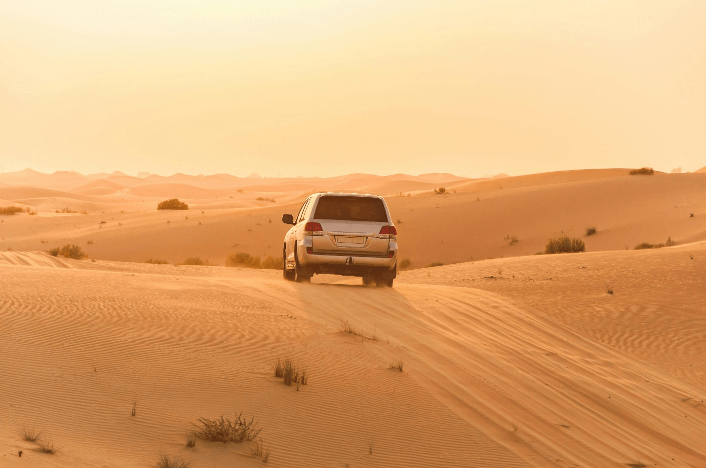 Premium Desert Safari