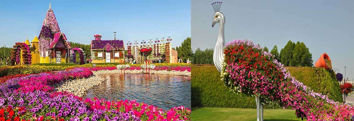 Miracle Garden Dubai