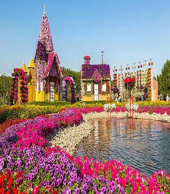 Miracle Garden Dubai