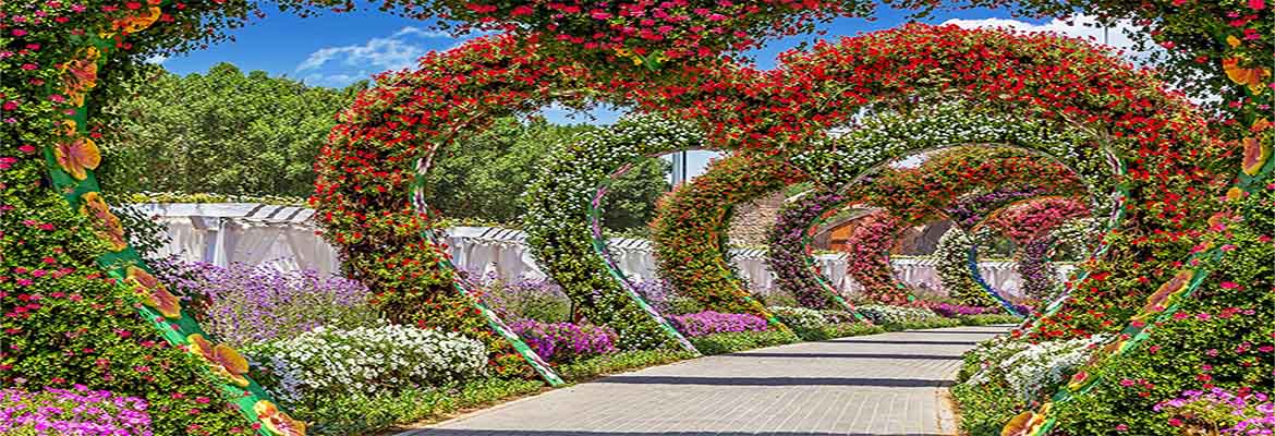 Miracle Garden Dubai